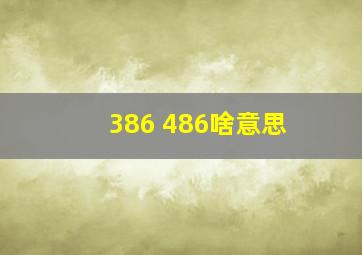 386 486啥意思